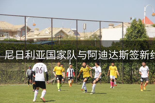 尼日利亚国家队与阿迪达斯签新约 每年赞助金额超800万美元