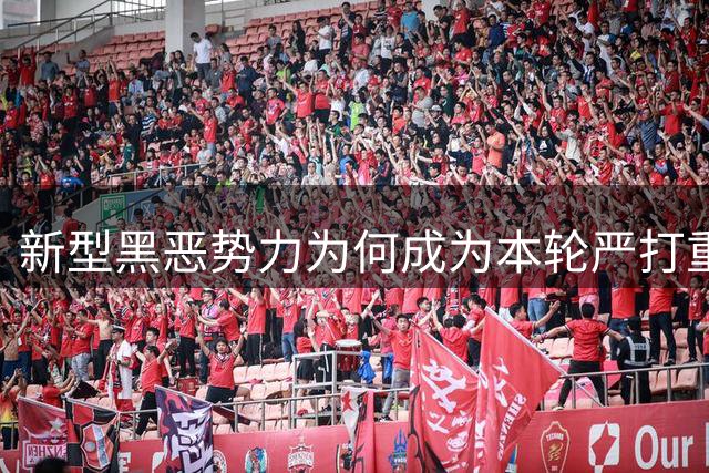 新型黑恶势力为何成为本轮严打重点？