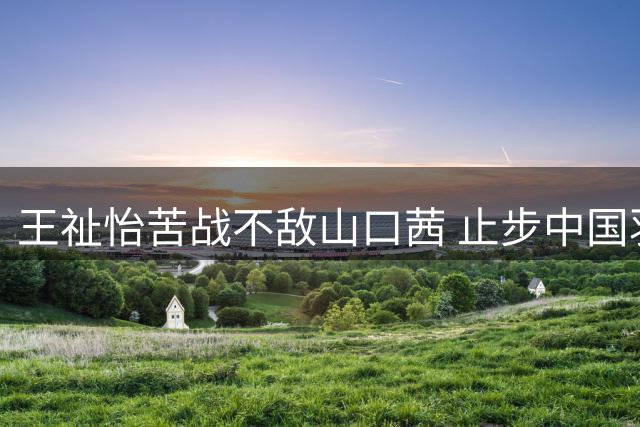王祉怡苦战不敌山口茜 止步中国羽毛球公开赛四强