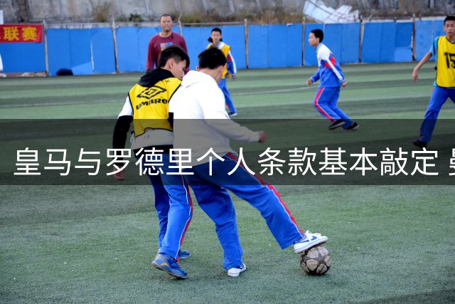 皇马与罗德里个人条款基本敲定 曼城尚未收到正式报价