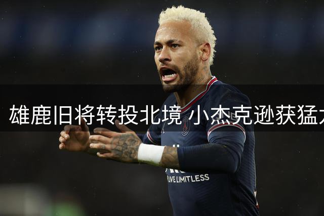雄鹿旧将转投北境 小杰克逊获猛龙训练营邀约争夺名额