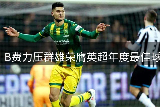 B费力压群雄荣膺英超年度最佳球员